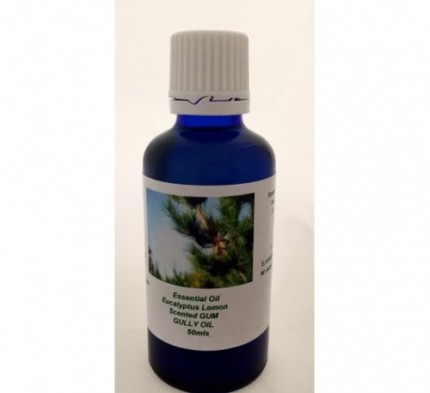 Gum Oil- Eucalyptus Essential Oil Gum Oil- Eucalyptus Essential Oil